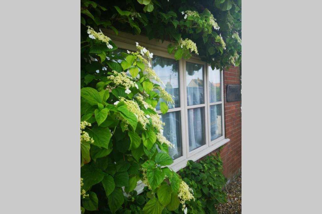 Blakeney Norfolk Bramble Lodge ***Self Catering*** Eksteriør bilde